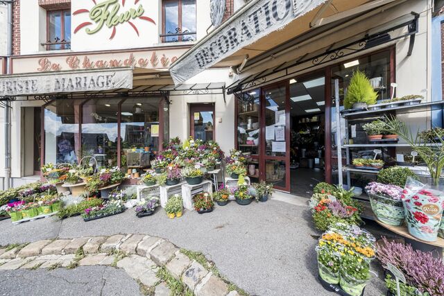 Pavia fleurs